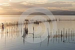 Sunset in the calm waters in the natural park of Albufera, Valencia, Spain. Magical colors in natural background