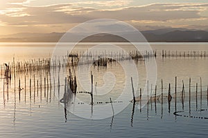 Sunset in the calm waters in the natural park of Albufera, Valencia, Spain. Magical colors and perfect natural background