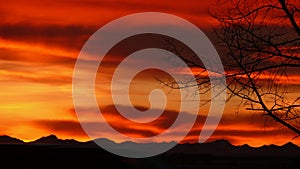 Sunset Canada Red Skyline Mountain Tree