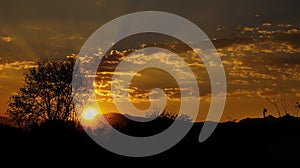 Sunset capture b Canon M50 | Amazing natue | Beautiful world | Sun falling | Sunset