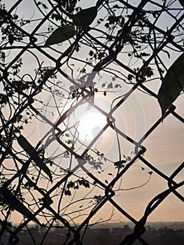 Sunset captured within iron cage