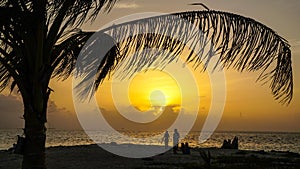 Sunset on Caribbean Beach with Palm Tree on the San Blas Islands between Panama and Colombia.