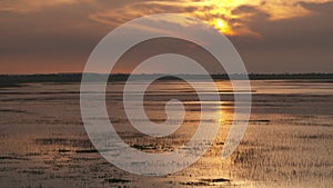 Sunset at Casanare River Plain, Wisirare, Colombia