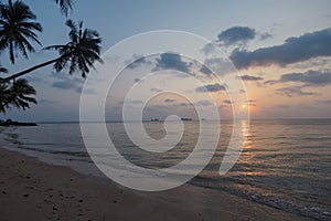 Sunset casts a warm glow over a sandy beach lined with palm trees, as gentle waves meet the shore