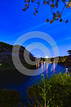 A sunset Chidorigafuchi pond with cherry trees in Tokyo in spring