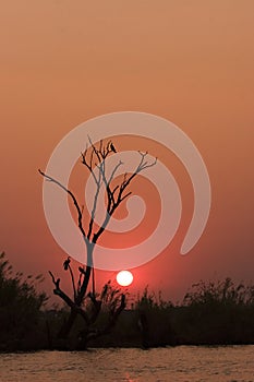 Sunset on the Chobe River