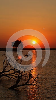Sunset at Chobe River in Botswana