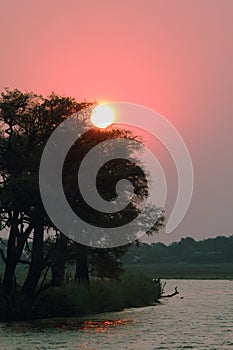 Sunset at Chobe riverfront from a boat