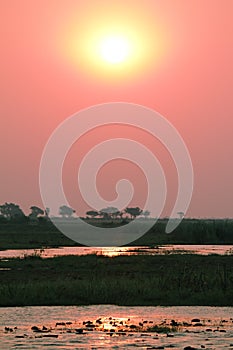 Sunset at Chobe riverfront from a boat