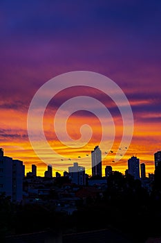 Sunset City Skyline Silhouette