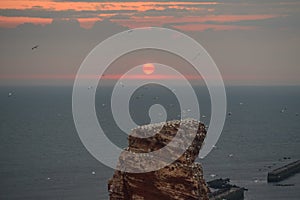 Sunset by the cliff. Sunset mood at the rock `Tall Anna` with flying birds. View of the rock `Lange Anna` by sunset in summer, Hel