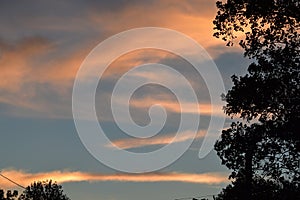 Sunset clouds blue and orange with a tree silhouette