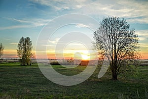 Sunset and clouds observing in forest