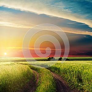 Sunset in clouds over road in green field