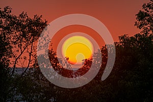 Sunset clouds over skyline, green trees and sunset