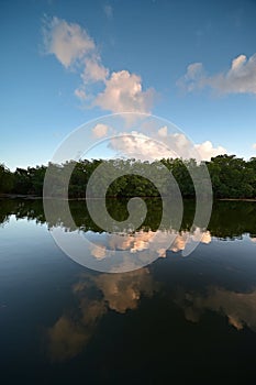 Sunset cloudscape reflected on calm water in Everglades National Park.