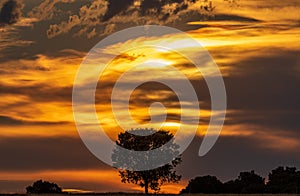 Sunset with cloudy orange sky and isolated tree