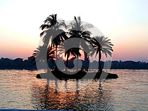 Sunset through coconut and palm trees on an island in a lake at Eco park Kolkata India photo