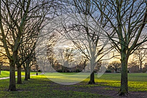 Sunset at a cold winter day in the park in united kingdom