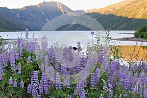 Sunset at Coldwater Lake photo