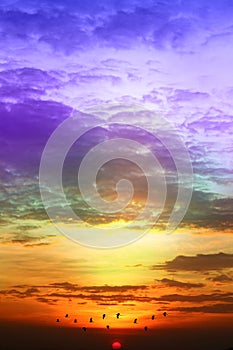 sunset colorful purple blue yelllow orange sky and dark cloud and sun lower flame with silhouette bird