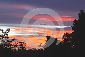 Sunset in Tamborine Mountain National Park, Queensland, Australia