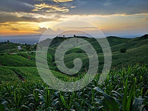 Sunset in the corn mountain