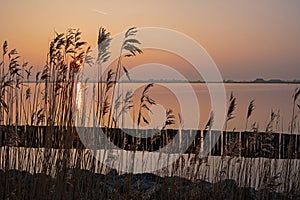 Sunset in the countryside from Friesland in the Netherlands photo