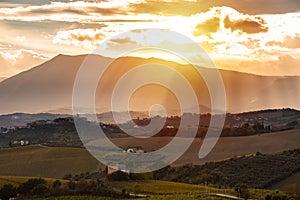 Sunset in countryside with vineyard in fall