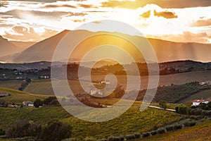 Sunset in countryside with vineyard in fall