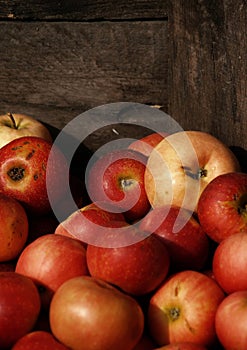 Sunset on crated apples