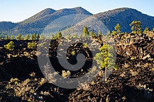 Sunset Crater National Monument