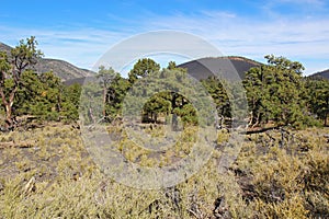 Sunset Crater volcanic cinder cone near Flagstaff, Arizona