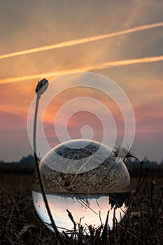 Sunset in a crystal ball on the grass photo