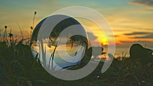 Sunset in a crystal ball placed beside the grass flower.