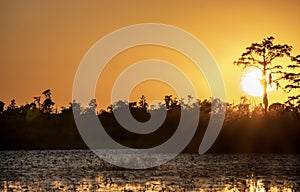 Sunset and cypress tree silhouette over Grand Prairie in the Okefenokee National Wildlife Refuge