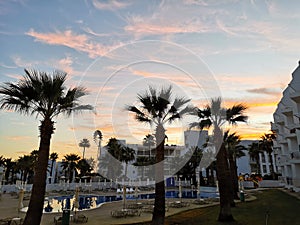 Sunset in Cyprus. A swimming pool surrounded by sun loungers and parasols surrounded by palm trees against a blue sky with
