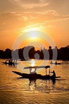 Sunset Dal Lake in Srinagar, Kashmir, India