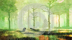 Sunset in dark swampy forest watercolor landscape photo