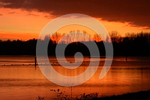 Sunset at Delftse Hout