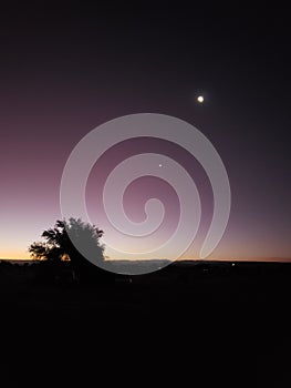 Sunset desert blue sky night sunrise atacama moon tree