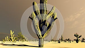 Sunset in the Desert with Cacti 3d rendering