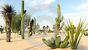 Sunset in the Desert with Cacti 3d rendering