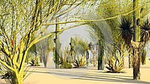 Sunset in the Desert with Cacti 3d rendering