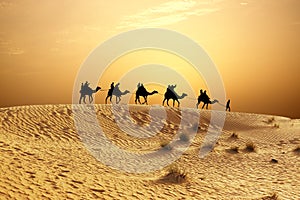 Sunset in desert with camel caravan silhouette on sand dunes
