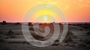 Sunset in the desert