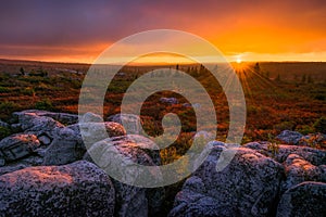 Sunset, Dolly Sods, West Virginia
