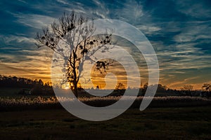 Sunset with a dramatic sky