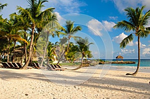 Sunset Dream beach with palm tree over the sand. Tropical Paradise. Dominican Republic, Seychelles, Caribbean, Mauritius. Vintage