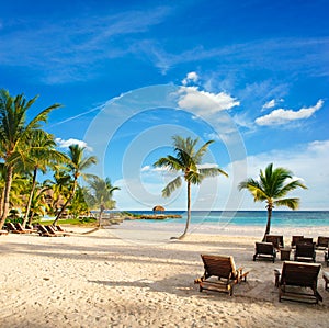 Sunset Dream beach with palm tree over the sand. Tropical Paradise. Dominican Republic, Seychelles, Caribbean, Mauritius. Vintage